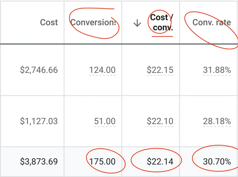 Google Ads performance table showing 175 conversions at $22.14 cost per conversion and 30.70% conversion rate
