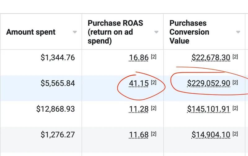 Meta Ads Manager table showing 41.15x ROAS and $229,052.90 in purchase conversion value