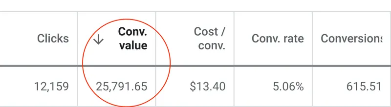 Google Ads table showing $25,791.65 in conversion value from 12,159 clicks with a 5.06% conversion rate