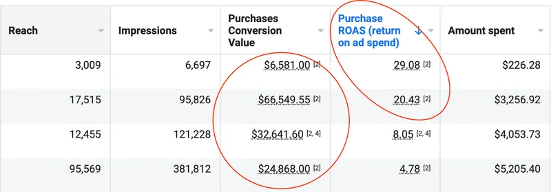 Meta Ads Manager table showing ROAS values ranging from 4.78x to 29.08x across four campaigns